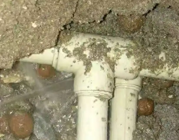 玄武测漏水多少钱