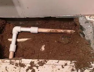 玄武测漏水哪家好