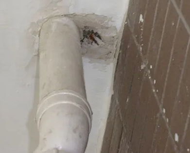 玄武漏水检测哪家好